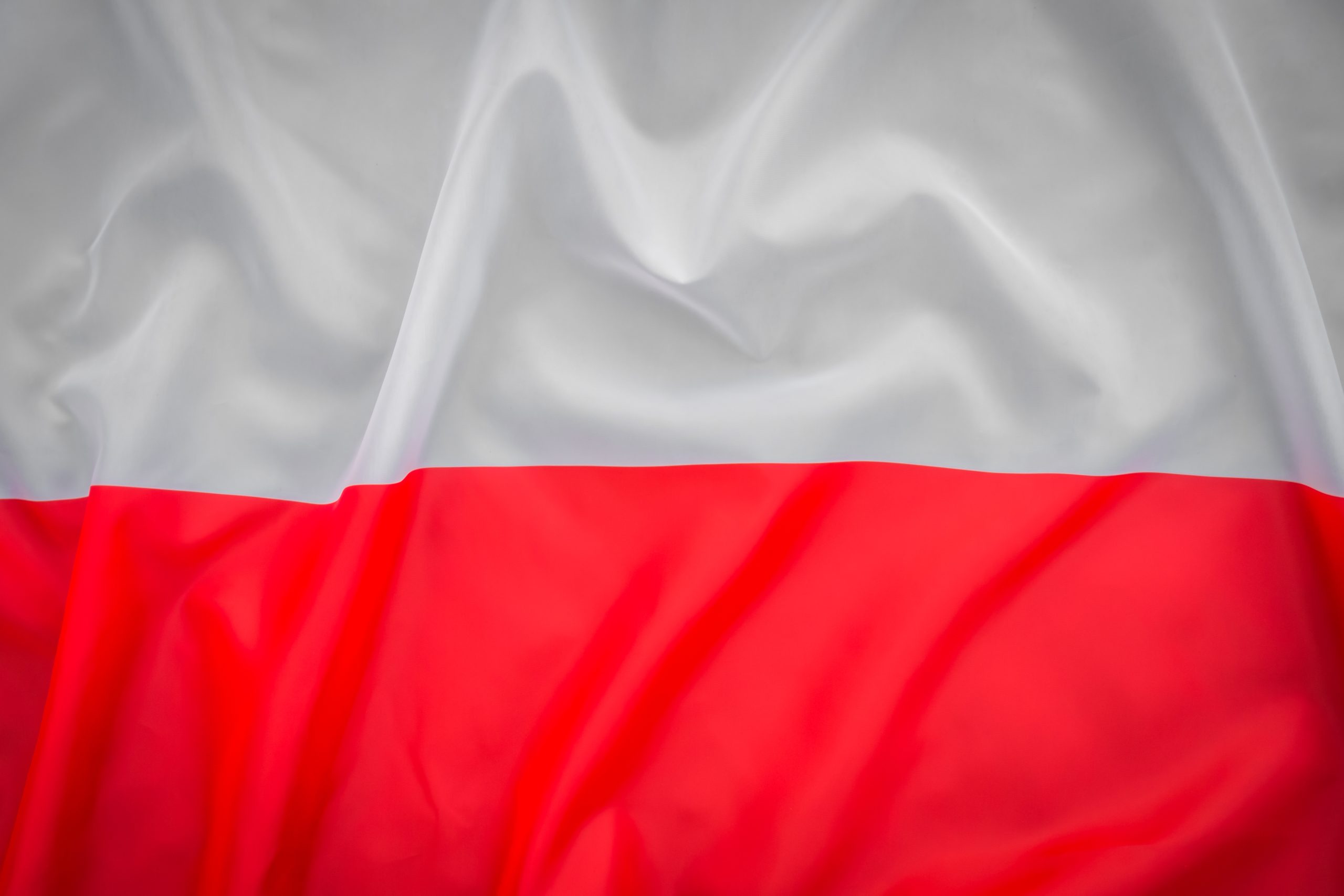 Obchody Święta Konstytucji